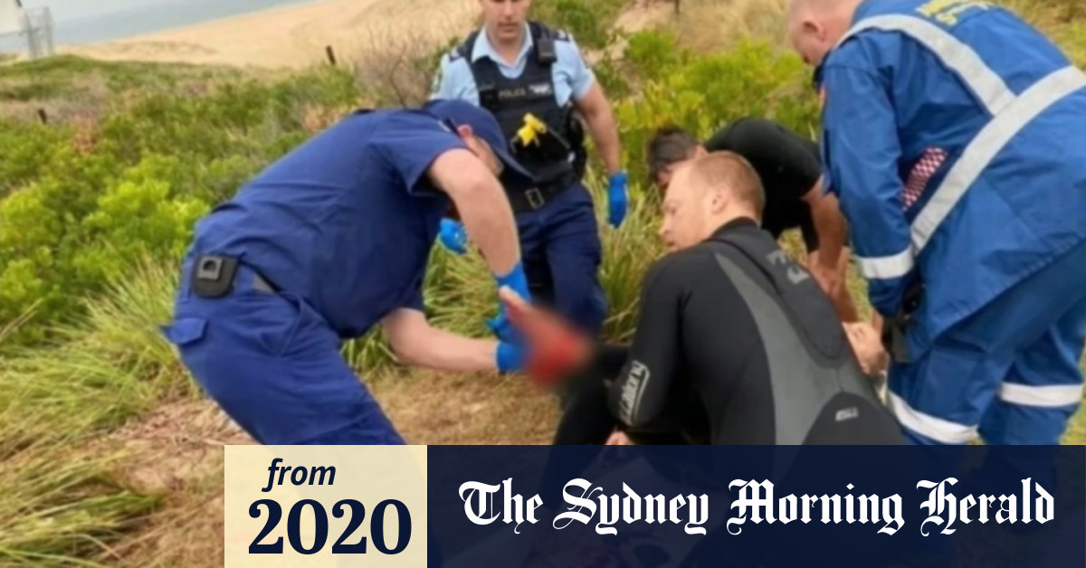 Video: Shark attack south of Sydney
